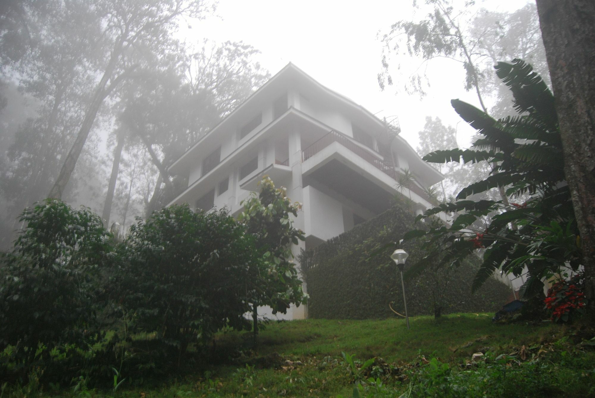 T Cherry Villa Munnar Exterior foto